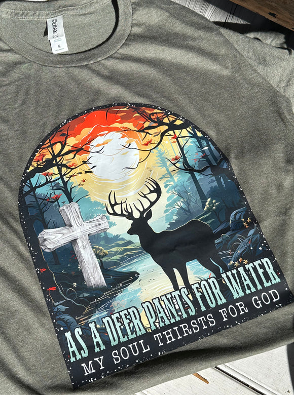 As A Deer Pants For Water