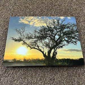 Sunset Tree Metal Print