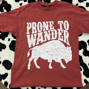 Prone To Wonder T-Shirt