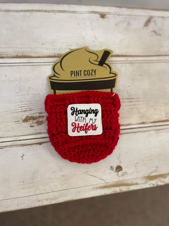 Ice Cream Pint Cozy