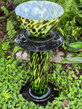 Bird Bath
