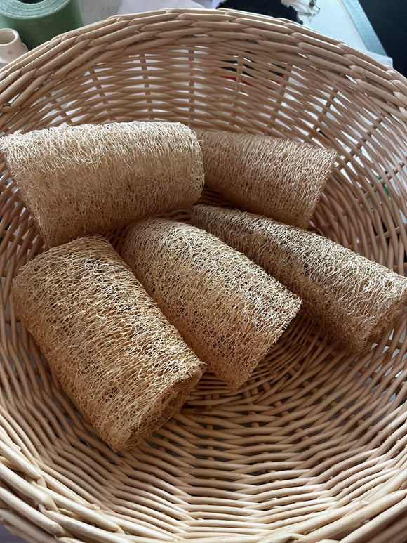 Locally Grown Natural Loofahs